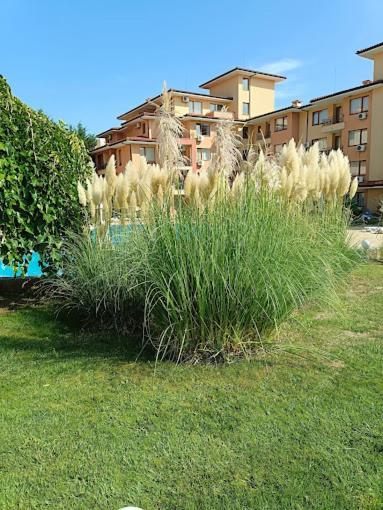 Magic Dreams Apartments Sveti Vlas Exterior photo